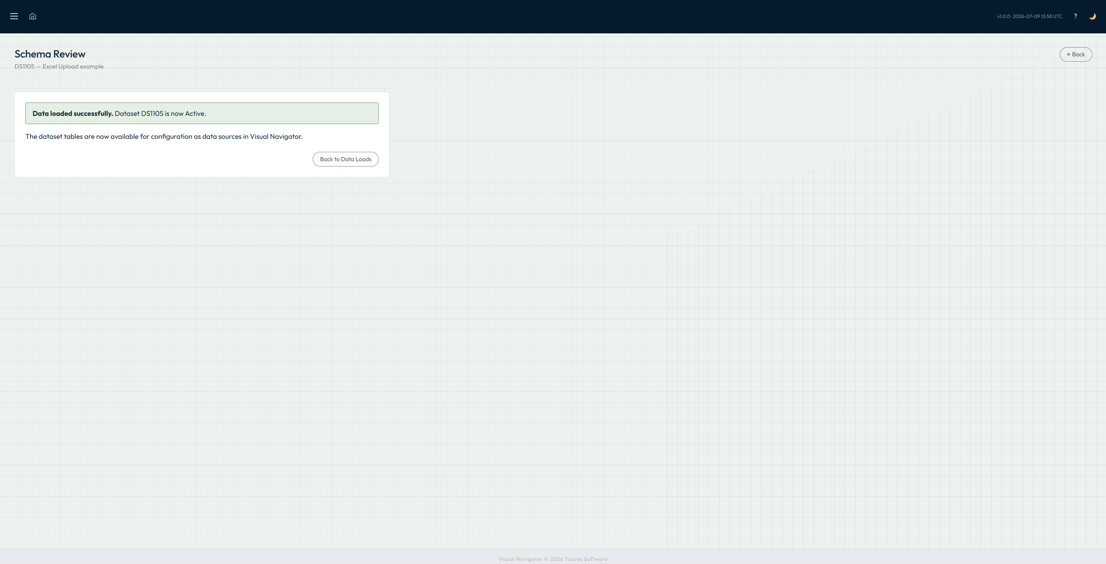 Navi confirmation that the workbook data loaded successfully and the collection is active